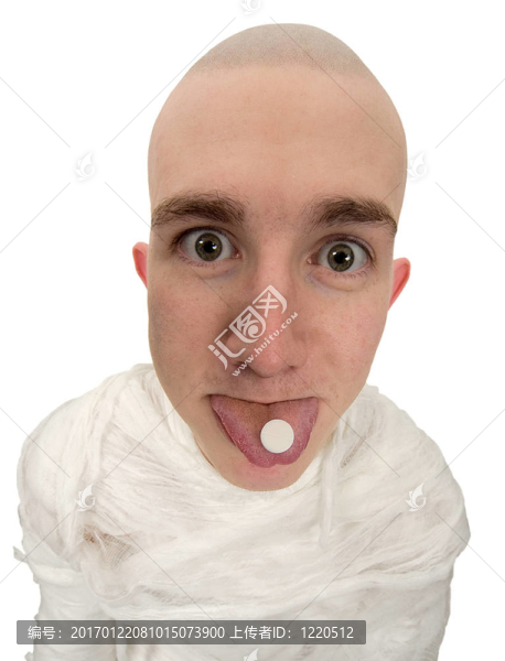 舌片舌