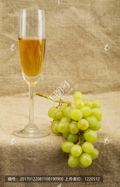 葡萄酒和葡萄Wineglass