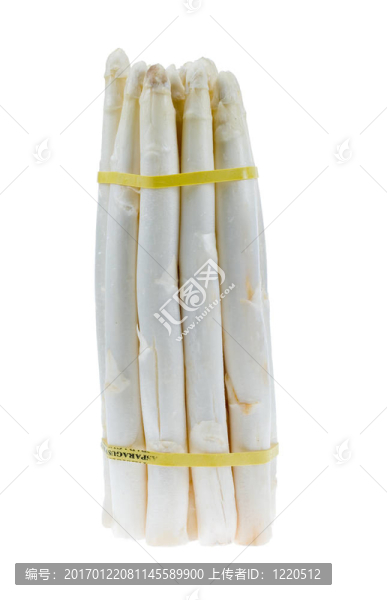一群白蘆筍