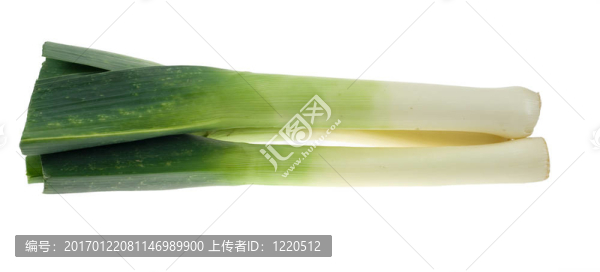 新鮮韭菜-匯圖網(wǎng) www.fosd68.com 新鮮韭菜