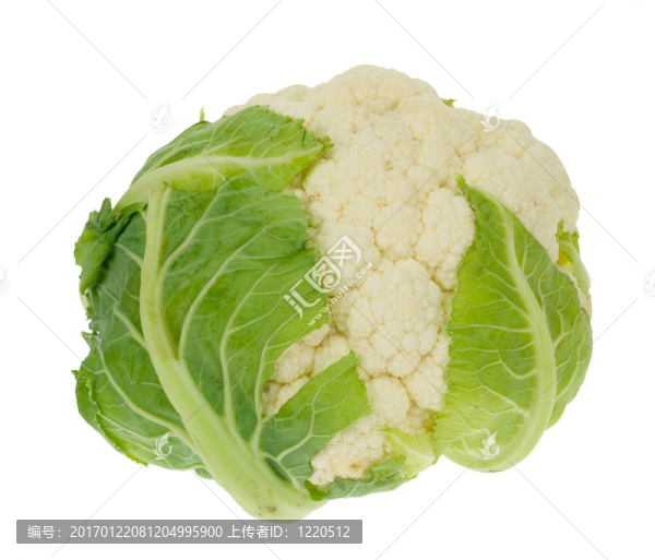 新鮮的花椰菜