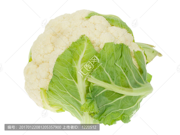 新鮮的花椰菜