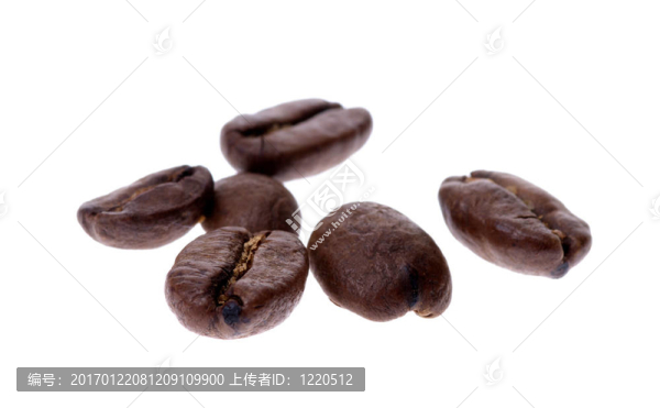 咖啡豆的隔離