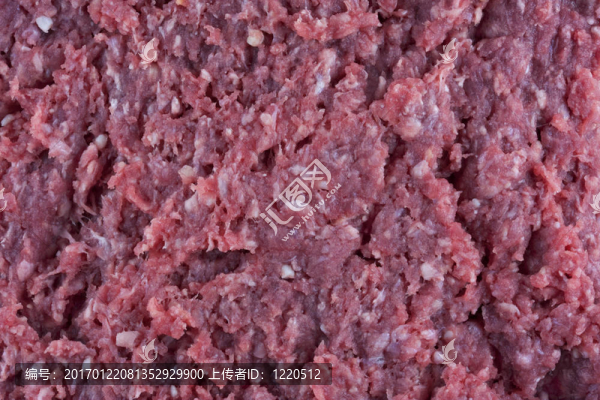 地面的野牛（Buffalo）肉