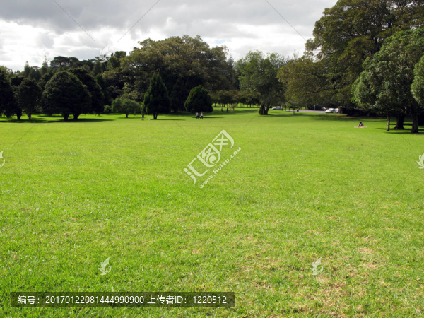 康沃爾公園-奧克蘭；新西蘭