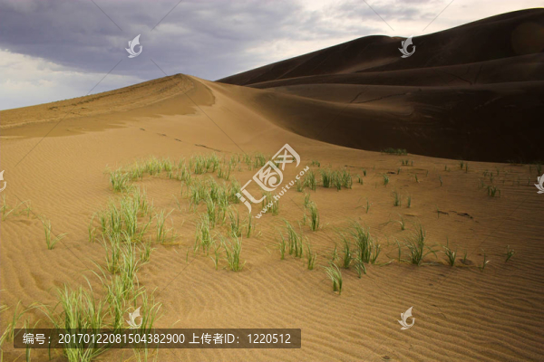 沙丘雷暴