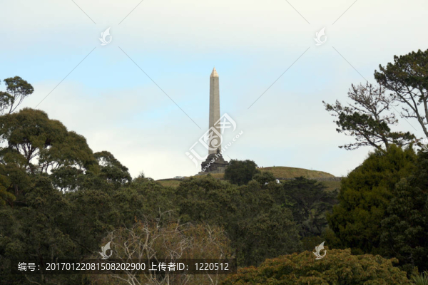 一樹山-奧克蘭；新西蘭