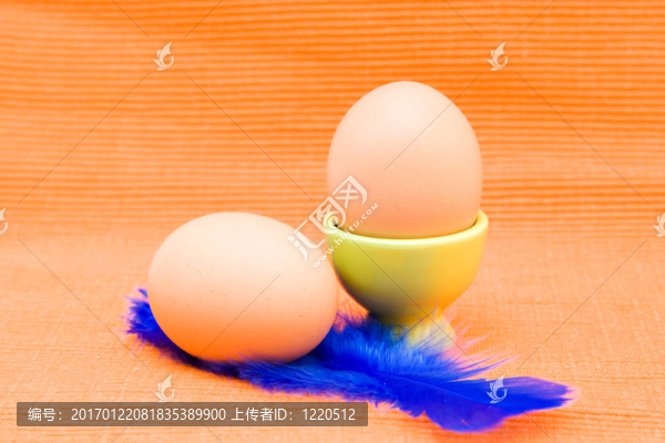 雞蛋