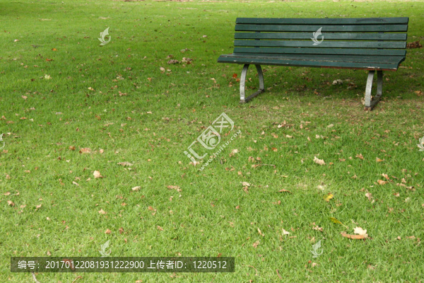 公園長(zhǎng)椅-域；奧克蘭；新西蘭