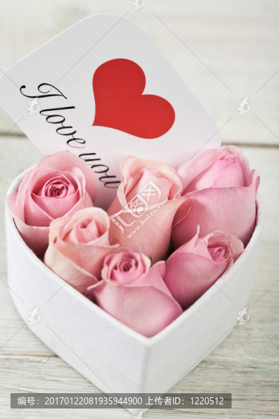粉薔薇