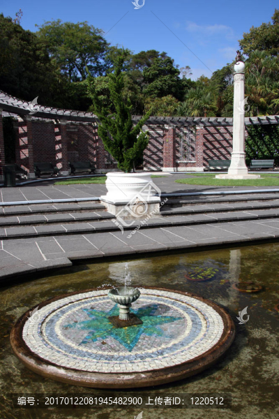 冬季花園-域；奧克蘭；新西蘭