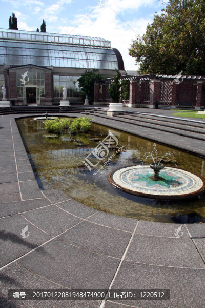 冬季花園-域；奧克蘭；新西蘭