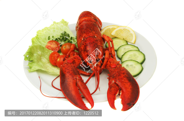 龍蝦片