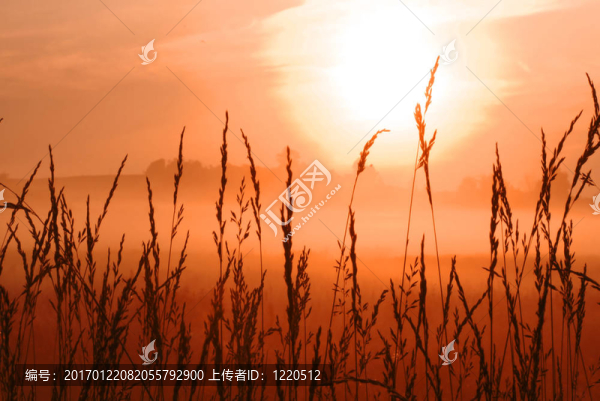 清晨美麗的日出