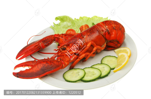 龍蝦和裝飾