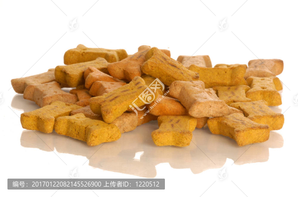 狗骨頭
