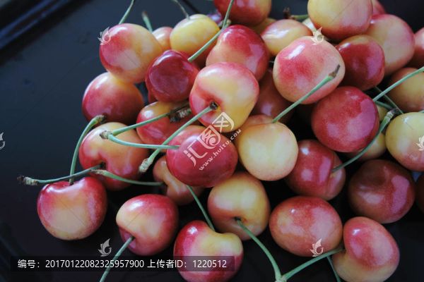 雷尼爾櫻桃黑