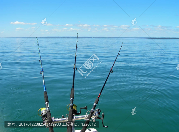 去釣魚