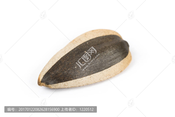 葵花籽
