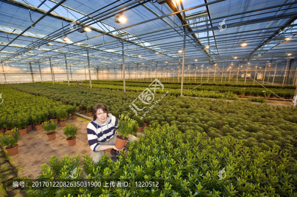 顯示裝置