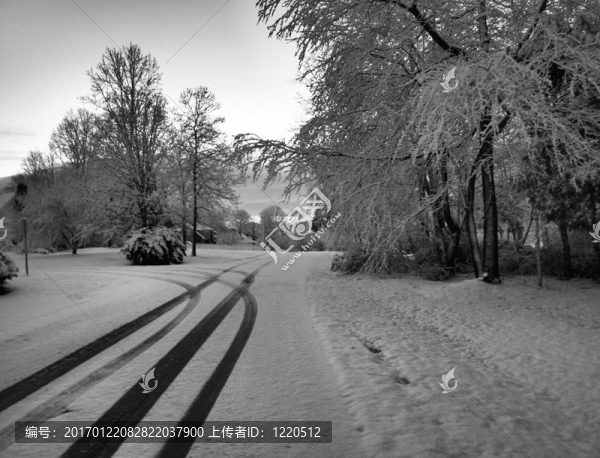 雪中的痕跡