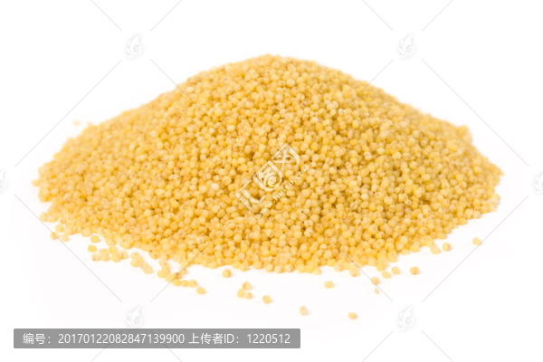 小米種子