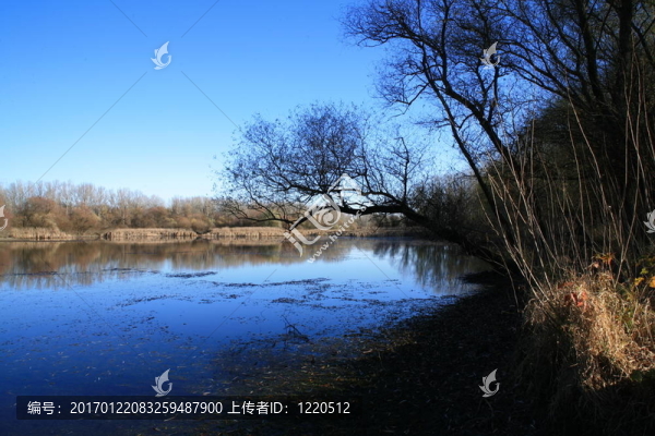 老湖