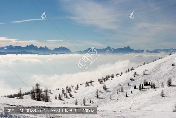 山