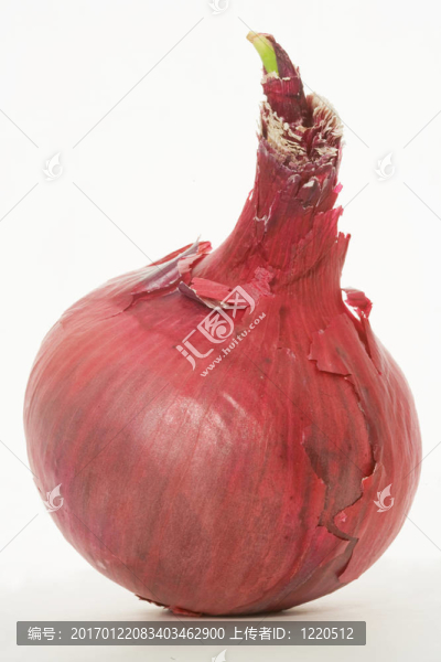 紅洋蔥