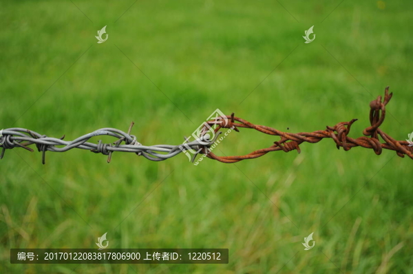 高山051-匯圖網(wǎng) www.fosd68.com 高山051