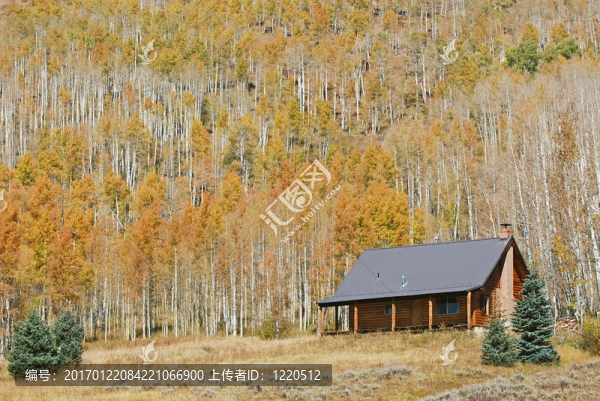 山上的小屋