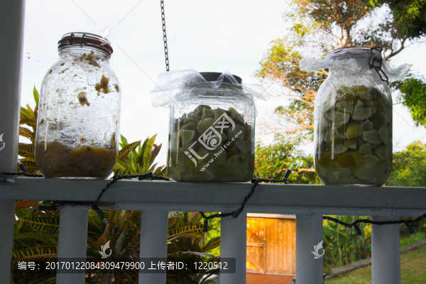 泡菜壇
