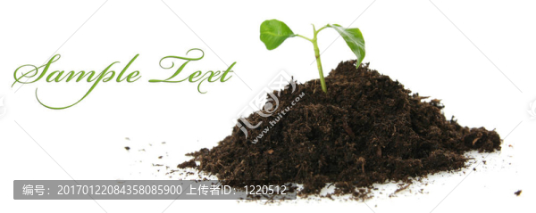 新生活（成長概念）