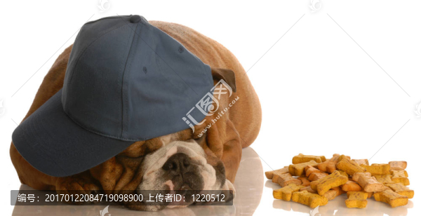 不餓