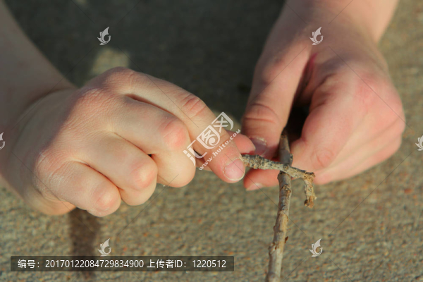 手和棍棒