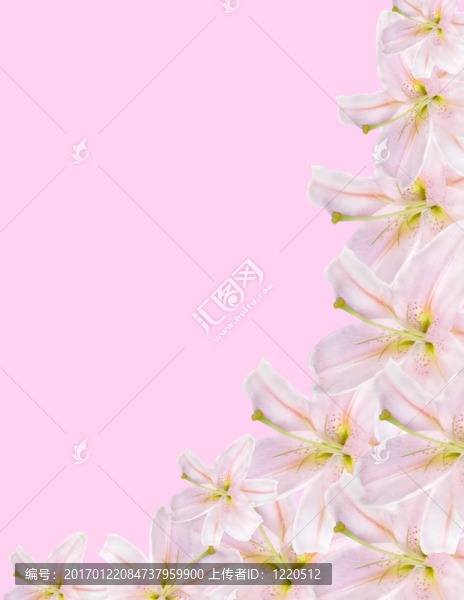 百合緣