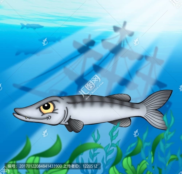 梭魚與沉船