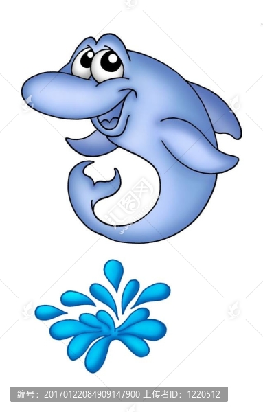 海豚1