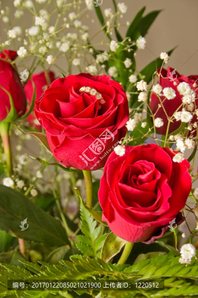 紅玫瑰花環(huán)