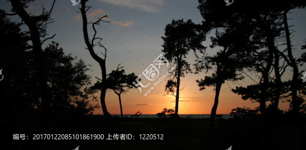 夕陽的剪影