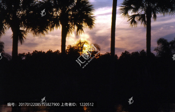 日落h-86