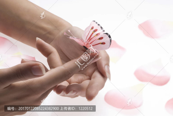 粉紅色的蝴蝶-匯圖網(wǎng) www.fosd68.com 粉紅色的蝴蝶