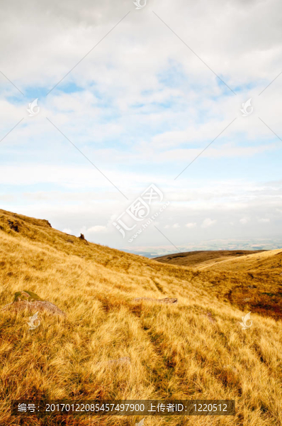開(kāi)放的Moorland