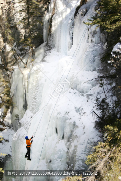 上Frozen,Cliff