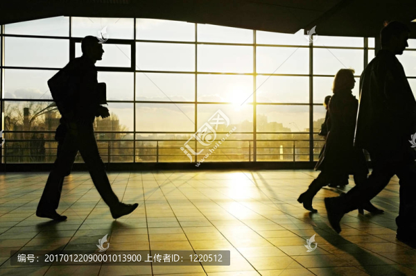 城市的人