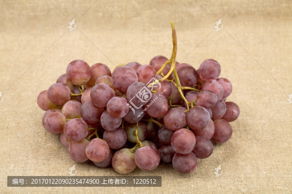 葡萄