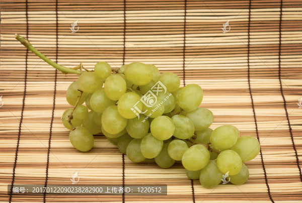 葡萄