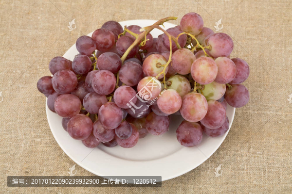 葡萄