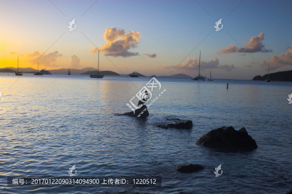 鵜鶘