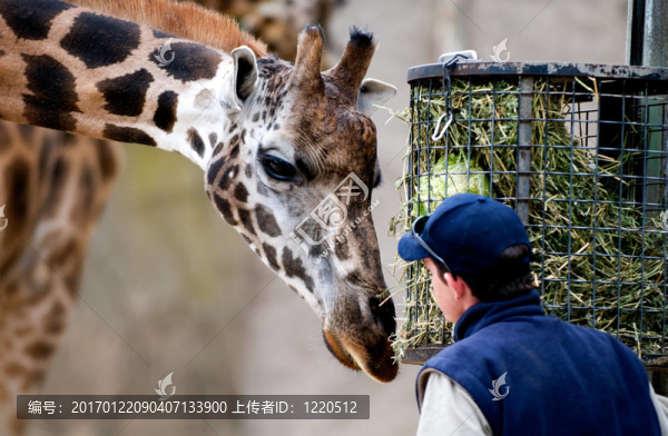zoo9
